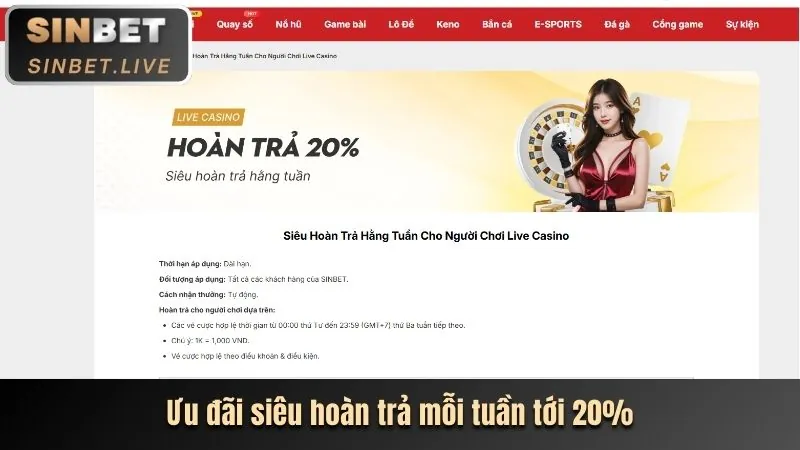 Cẩm nang người chơi mới tại lucky8882 casino